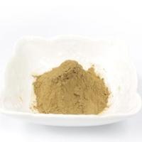 茉莉花茶粉招商