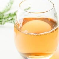 红茶浓缩液招商
