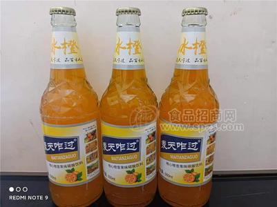 橙子味果味碳酸飲料瓶裝 500ml