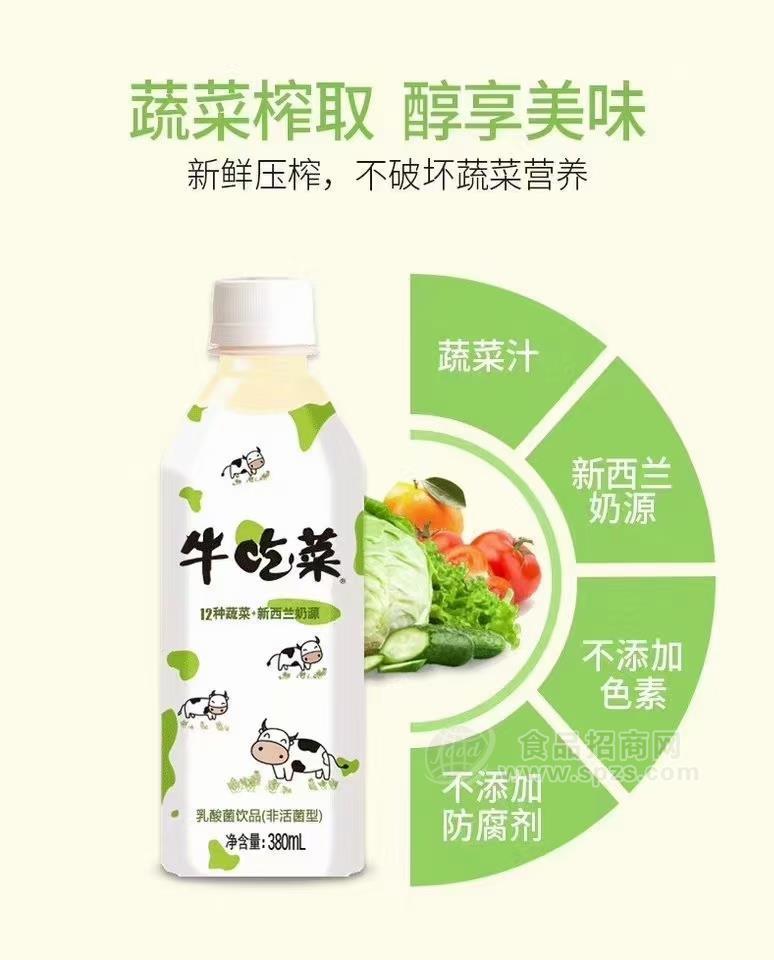 牛吃菜乳酸菌飲品