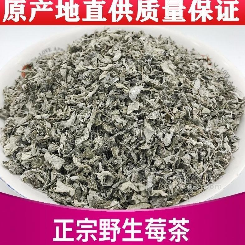 廣西特產(chǎn)正宗野生莓茶招商