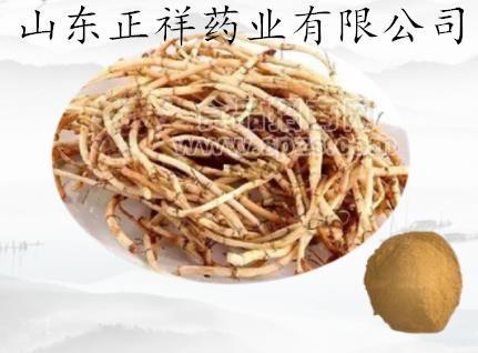 鱼腥草冲饮品 固体饮料 OEM贴牌