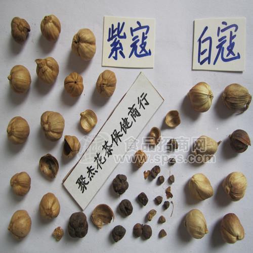 紫寇紫叩子寇籽蔻紫豆蔻紫豆叩紫扣自蔻老叩老寇十开蔻
