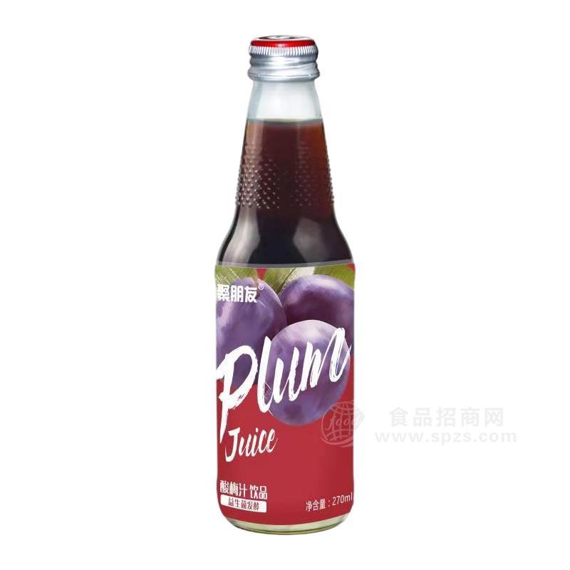 聚朋友酸梅汁饮品益生菌发酵果汁饮料招商270ml