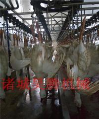 鸭屠宰流水线定制生产厂家