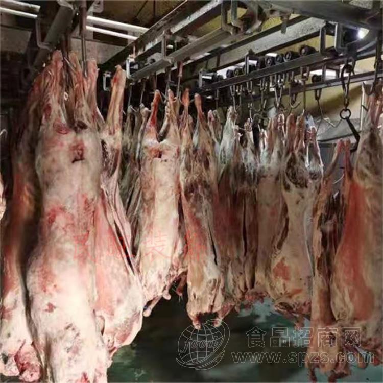 猪牛羊肉低温高湿解冻机 定制肉类解冻缓化设备