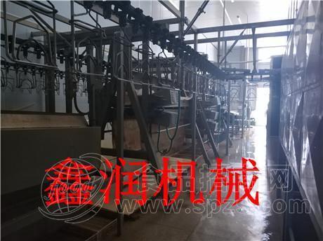 鸡鸭鹅屠宰流水线厂家