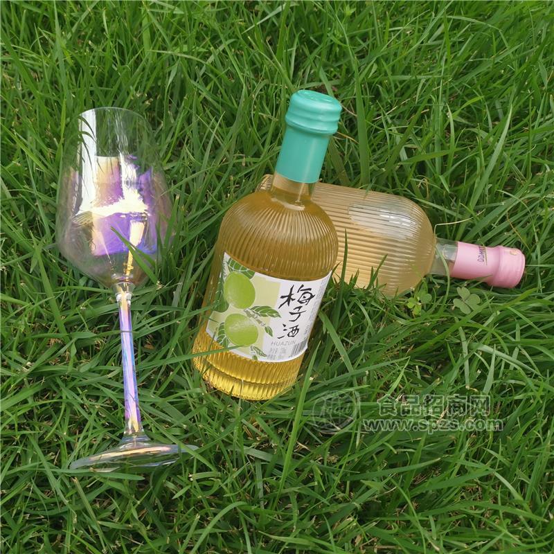 果酒，花樽，梅子酒，女士酒招商
