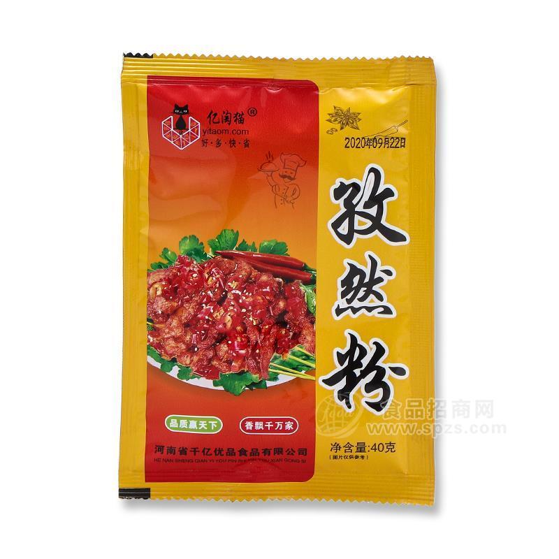 億淘貓孜然粉調(diào)味料40g