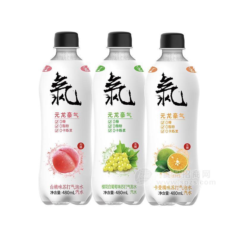 ·元龙豪气白桃味、樱花白葡萄味、卡曼橘味苏打气泡水招商480ml 