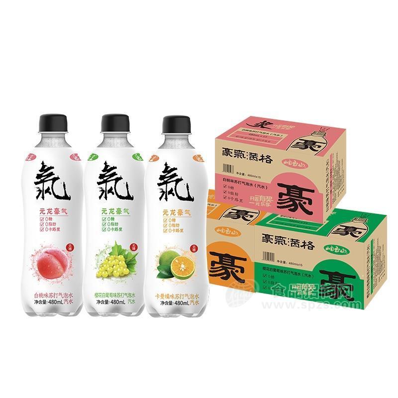 ·元龙豪气白桃味、樱花白葡萄味、卡曼橘味苏打气泡水招商480mlX15瓶 