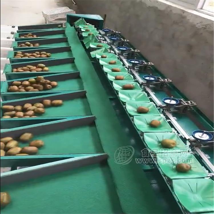苹果分果机  云南昭通果蔬产后处理设备  设备功能介绍