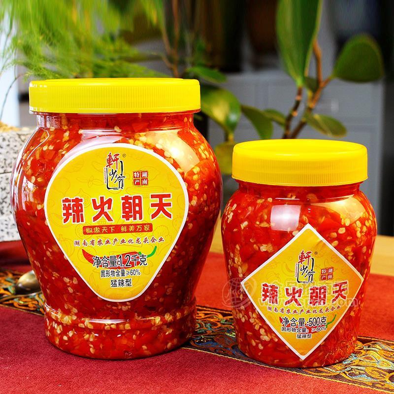 ·轩少爷辣火朝天调味品实图招商 