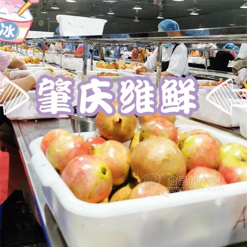 肇慶市維鮮食品   速凍突尼斯軟籽石榴