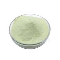 青苹果汁粉 青苹果粉 食品级现货供应冲调饮品 青苹果果粉