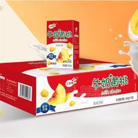 三剑客黄桃+牛奶乳酸菌饮品招商