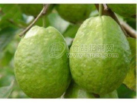 黑加仑香精，梅子香精，番石榴香精
