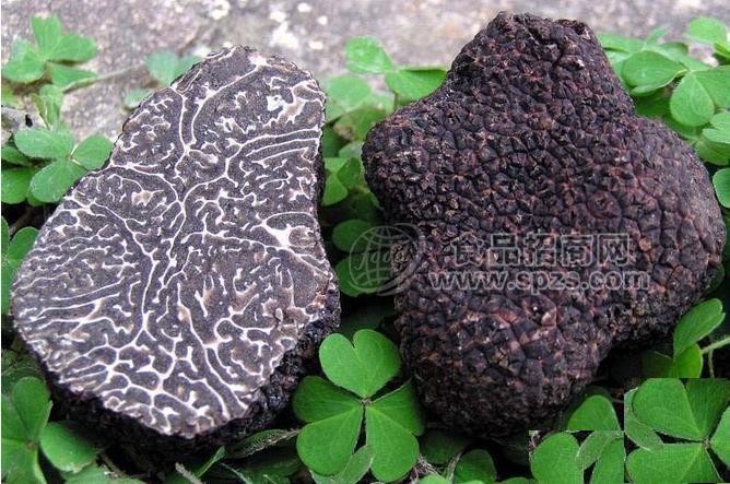 松露香精，莳萝香精，罗望子香精