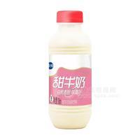 甜牛奶草莓味甜牛奶風味飲料廠家招商500ml