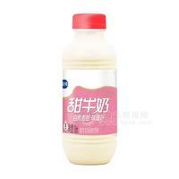 甜牛奶草莓味甜牛奶風(fēng)味飲料廠家招商500ml