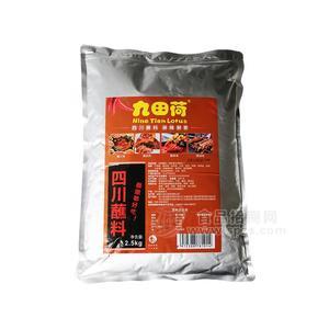 九田荷四川蘸料麻辣蘸料調(diào)味品東北燒烤撒料招商2.5kg