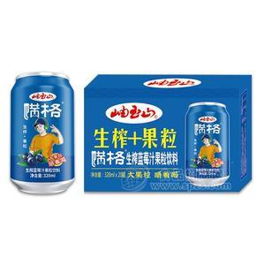 罐裝生榨藍莓汁 岫玉山藍莓果汁飲料招商 整箱裝果汁代理310mlx20罐