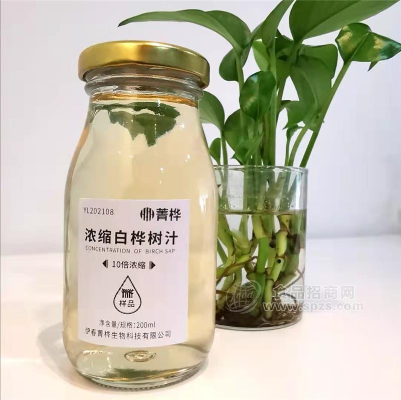浓缩白桦树汁天然树水营养食品口服液原料小样200ml