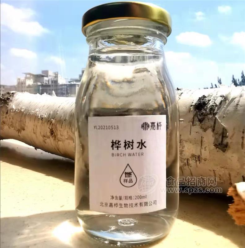 樺樹(shù)水天然活性小分子樹(shù)水植物飲能量飲氣泡水原料小樣200ml