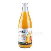 v9能沙棘芒果汁復(fù)合果汁飲料招商300ml