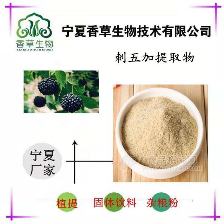 刺五加提取物 刺五加粉80目 刺五加浓缩粉