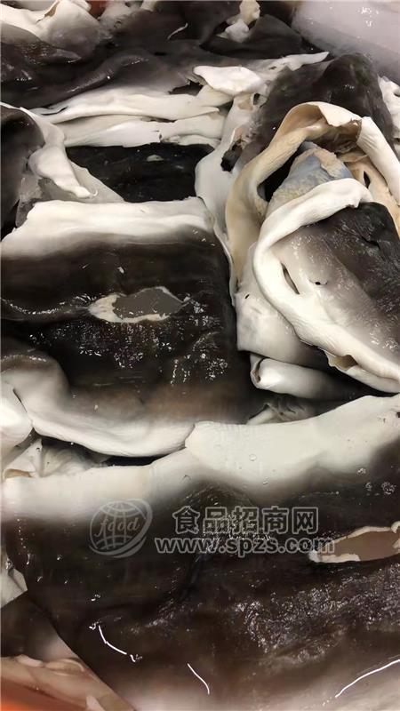 沙魚皮，鮑螺、深海魚排