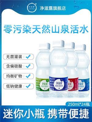 凈滋露礦物質(zhì)山泉水250ml 母嬰低鈉