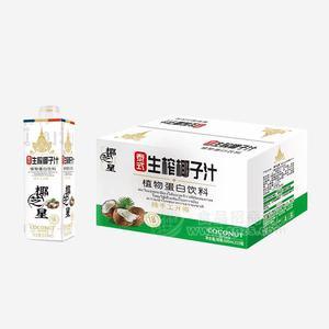 椰芝星泰式生榨椰子汁植物蛋白飲料箱裝椰汁招商600ml×15瓶