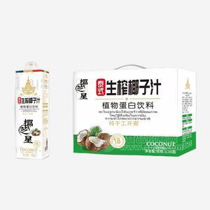 椰芝星泰式生榨椰子汁植物蛋白飲料箱裝招商1kg×6瓶