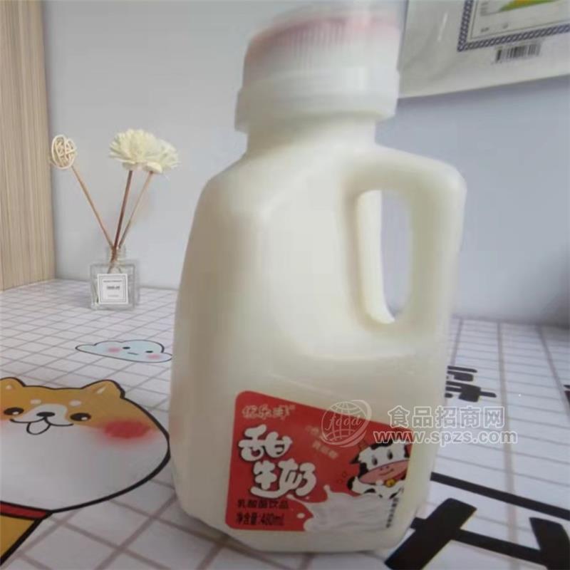 優(yōu)樂(lè)洋甜牛奶乳酸菌飲品480ml招商