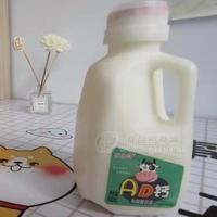 优乐洋AD钙奶乳酸菌饮品招商480ml