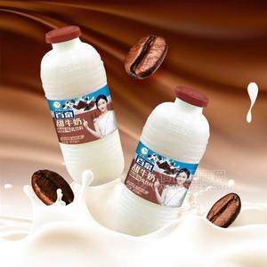 百泉甜牛奶咖啡味乳饮料瓶装450ml