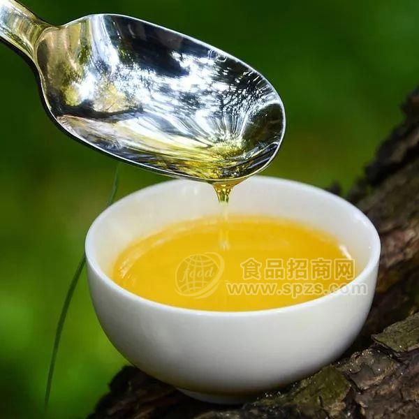 供应茶籽油 广西特产山茶籽油专题