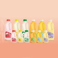 众口妙乳酸菌饮料多种口味乳饮料招商