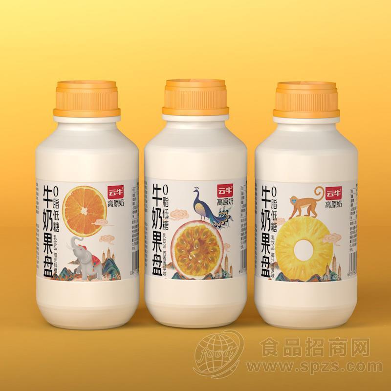 云牛椰汁菠萝味牛奶果盘乳饮品420g