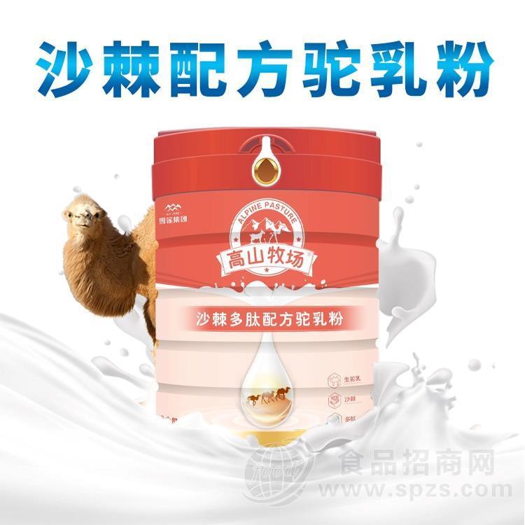 高山牧场配方驼乳粉中老年高钙营养正宗新疆骆驼奶粉厂家招商