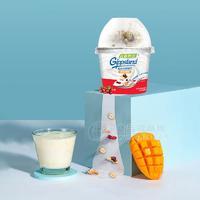 东君乳业吉普斯兰混合谷物脆澳洲风味酸奶杯装牛奶液态奶奶制品