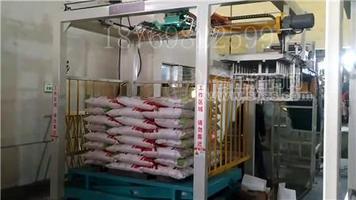 码垛机满足不同包装领域码垛需求