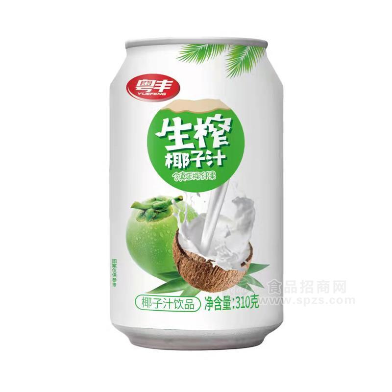 粵豐生榨椰子汁飲品實圖招商310g易拉罐裝椰汁餐飲渠道爆品