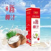 一椰三爱新椰汁植物蛋白饮料1L
