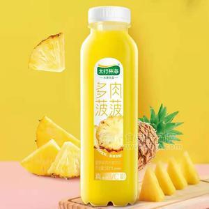 太行林海菠萝多肉水果饮品果汁饮料500ml