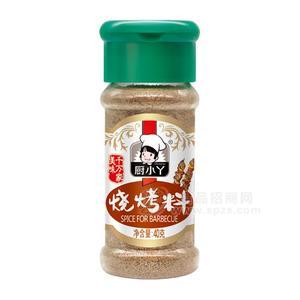 厨小丫烧烤料调味料厂家直销招商40g
