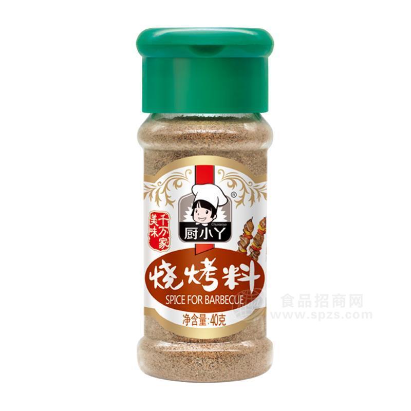 廚小丫燒烤料調(diào)味料廠家直銷招商40g