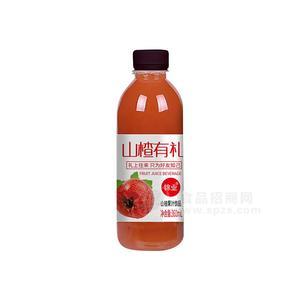 錦業(yè)山楂果汁飲品瓶裝果汁飲料招商360ml