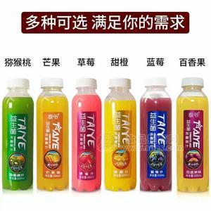 泰爷益生菌果汁  饮料500mlx15 发酵果汁厂家招商代理批发